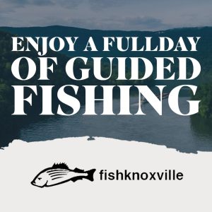 Full Day Guided Striper and Smallmouth Fishing Trip- Fishknoxville